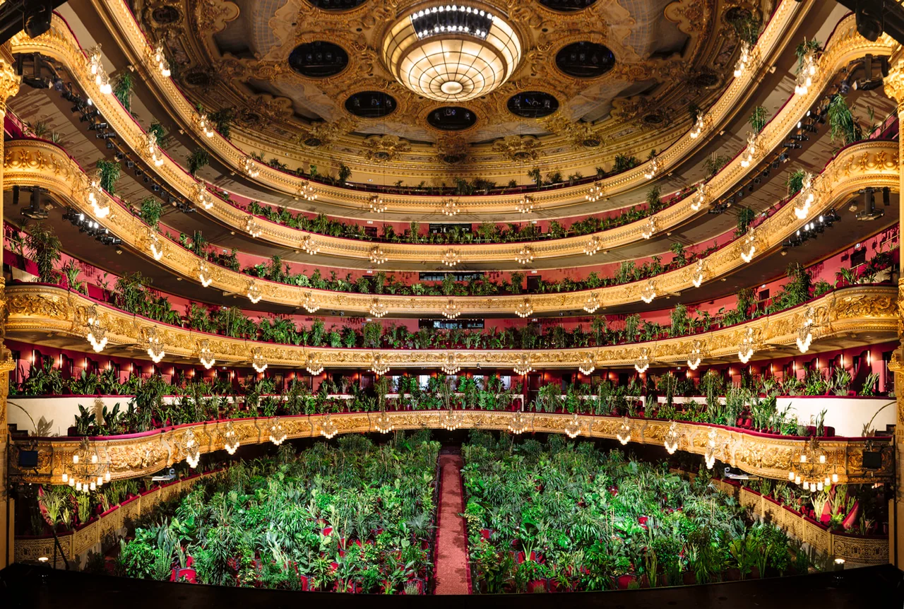 The gold balconies and red seats of Barcelona’s Liceu theatre filled with green plants, seen from the stage.