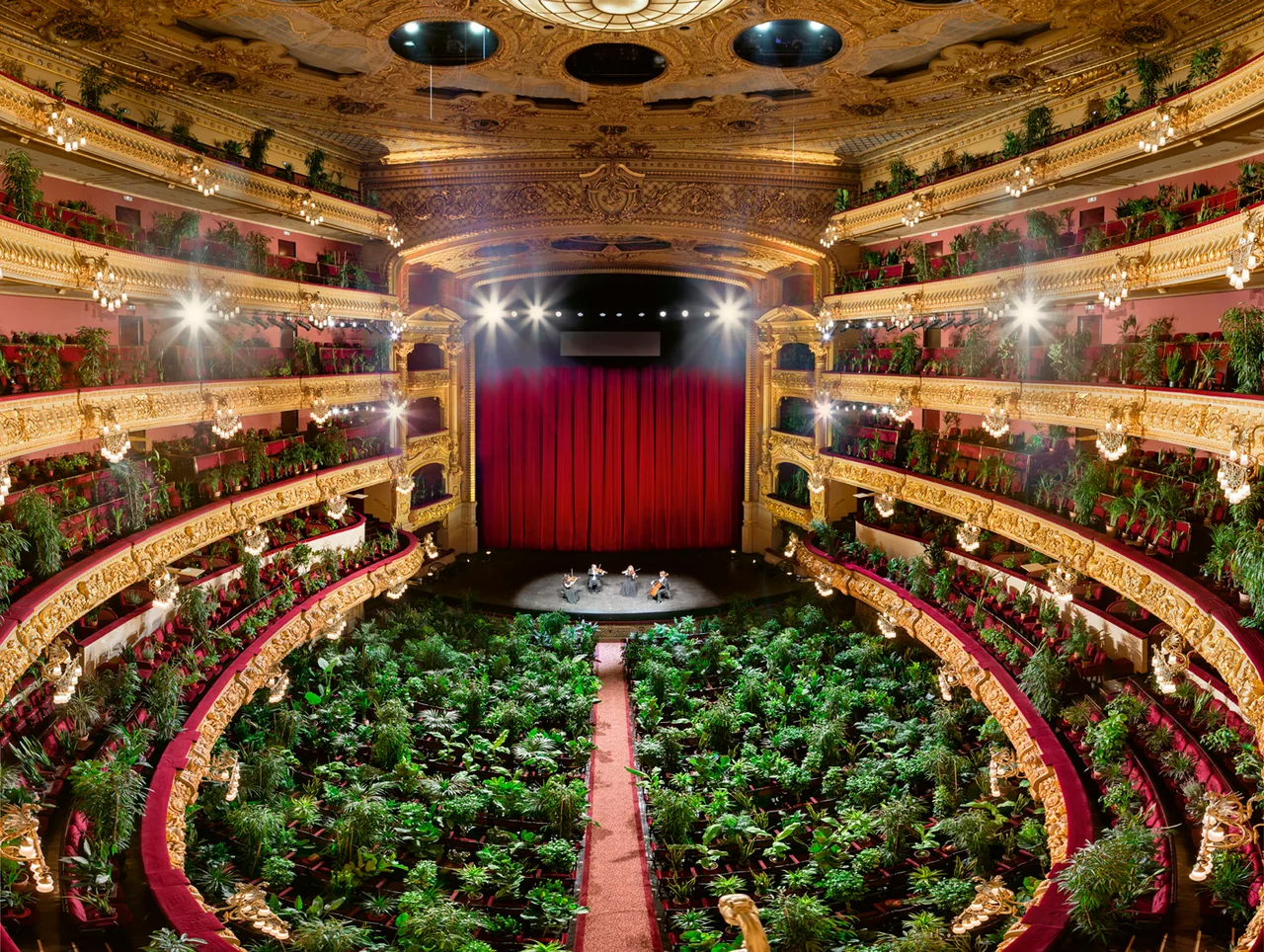 A view toward the red stage curtain, with the musicians surrounded by a theatre full of plants.