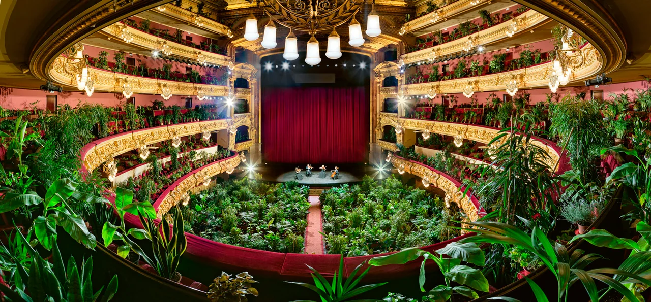 Leaves fill the foreground of a wide balcony view across the golden opera house toward the quartet.