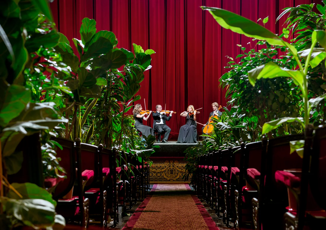 A string quartet performs onstage beyond the potted plants occupying the theatre seats.