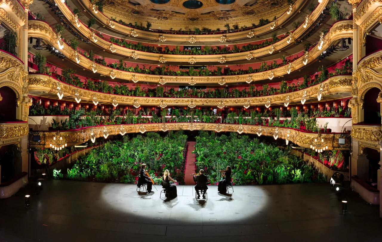 The UceLi Quartet performs onstage, facing the plants filling the auditorium and five tiers of golden balconies.